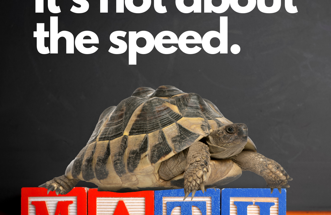 Turtle on blocks spelling out word math with text saying It's not about the speed