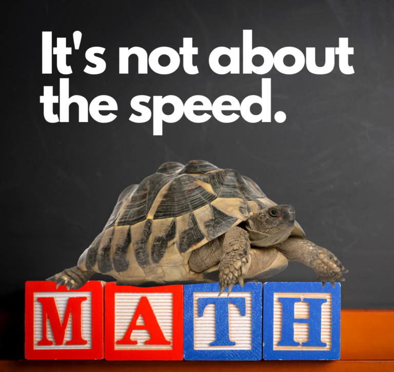 Turtle on blocks spelling out word math with text saying It's not about the speed