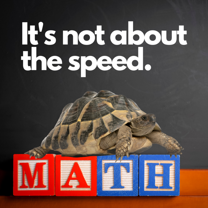 Turtle on blocks spelling out word math with text saying It's not about the speed