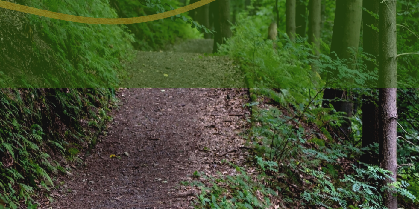 Brown dirt trail through green forest with word Zen on top of image